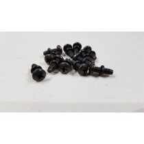 Ford Falcon XW Taillight Lens Screw Kit