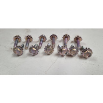 Ford Falcon XR-XY S Mark Door Bolts (12PK)