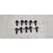 Ford Falcon XR-XY Black Guard / Fender Bolts 10pk