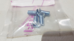 Ford Falcon Door Striker Bolts (4pk)