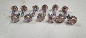 Ford Falcon XR-XY S Mark Door Bolts (12PK)